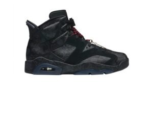 Air Jordan 6 SINGLES DAY